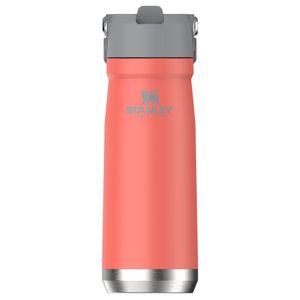 Garrafa Térmica Flip Straw Guava 651 ml Stanley