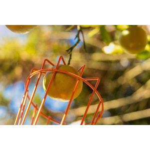 Colhedor de Frutas Médio em Aço sem Cabo Tramontina